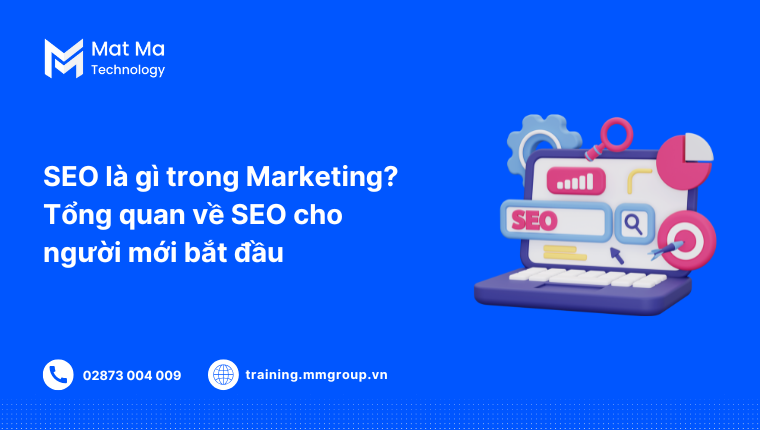 SEO là gì trong marketing